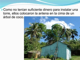 Como no tenían suficiente dinero para instalar una torre, ellos colocaron la antena en la cima de un árbol de coco. 