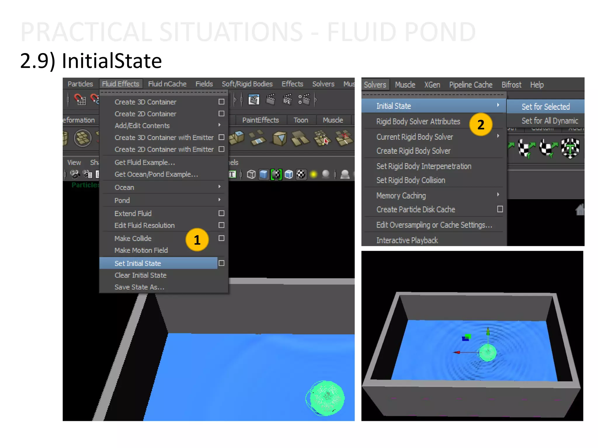PRACTICAL SITUATIONS - FLUID POND
2.9) InitialState
1
2
 