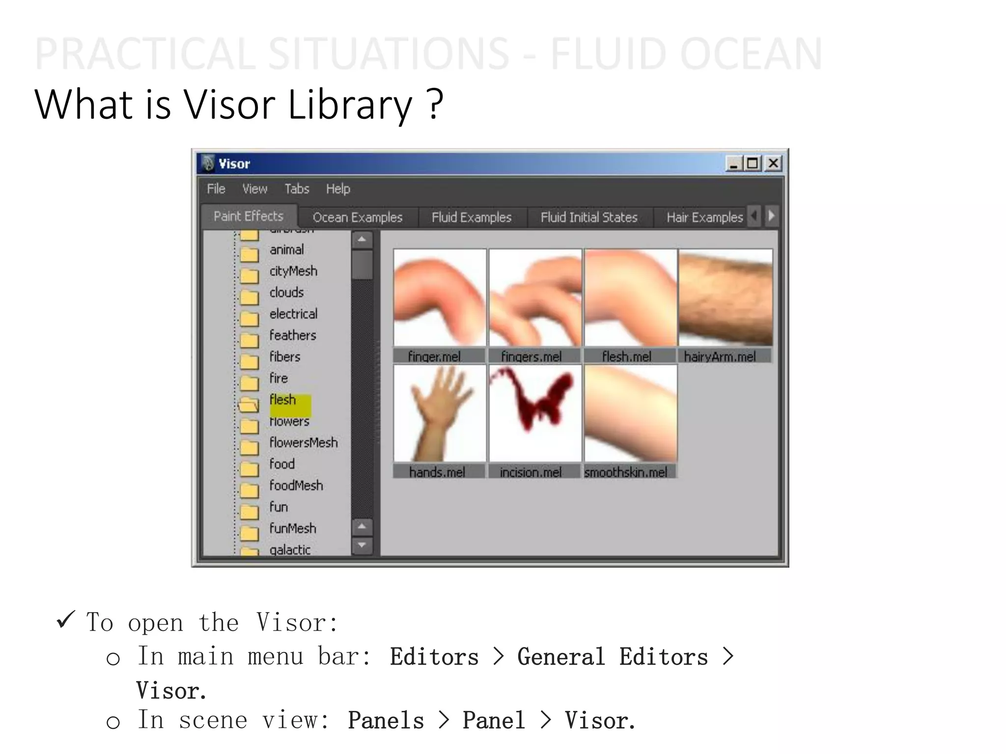 PRACTICAL SITUATIONS - FLUID OCEAN
What is Visor Library ?
 To open the Visor:
o In main menu bar: Editors > General Editors >
Visor.
o In scene view: Panels > Panel > Visor.
 
