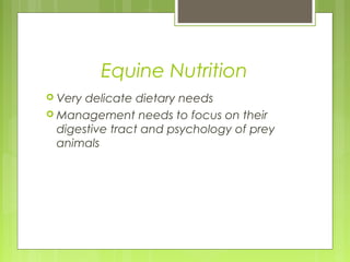 Equine Nutrition
 Very delicate dietary needs
 Management needs to focus on their
digestive tract and psychology of prey
animals
 