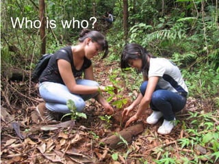 11
Author name
Date
DOCUMENT TITLE
Who is who?
 