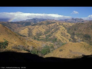 3
Author name
Date
DOCUMENT TITLE
 