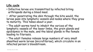 Life cycle
• Infective larvae are transmitted by infected biting
arthropods during a blood meal.
• After penetrating the skin through the bite would, the
larvae pass into lymphatic vessels and nodes where they grow
to maturity. This takes about a year.
• The adult worms tend to inhabit the varices of the
lymphatic vessels of the lower limbs, the groin glands and
epididymis in the male, and the labial glands in the female
leading to filariasis.
• The adult females release large numbers of very small
sheathed worm larvae (microfilariae), which circulate in an
infected person's bloodstream.
Saturday, July 13, 2024 10
 