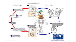 Saturday, July 13, 2024 12
 