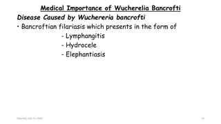 Medical Importance of Wucherelia Bancrofti
Disease Caused by Wuchereria bancrofti
• Bancroftian filariasis which presents in the form of
- Lymphangitis
- Hydrocele
- Elephantiasis
Saturday, July 13, 2024 13
 