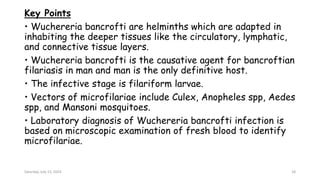 Key Points
• Wuchereria bancrofti are helminths which are adapted in
inhabiting the deeper tissues like the circulatory, lymphatic,
and connective tissue layers.
• Wuchereria bancrofti is the causative agent for bancroftian
filariasis in man and man is the only definitive host.
• The infective stage is filariform larvae.
• Vectors of microfilariae include Culex, Anopheles spp, Aedes
spp, and Mansoni mosquitoes.
• Laboratory diagnosis of Wuchereria bancrofti infection is
based on microscopic examination of fresh blood to identify
microfilariae.
Saturday, July 13, 2024 18
 