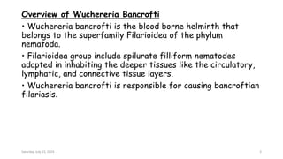 Overview of Wuchereria Bancrofti
• Wuchereria bancrofti is the blood borne helminth that
belongs to the superfamily Filarioidea of the phylum
nematoda.
• Filarioidea group include spilurate filliform nematodes
adapted in inhabiting the deeper tissues like the circulatory,
lymphatic, and connective tissue layers.
• Wuchereria bancrofti is responsible for causing bancroftian
filariasis.
Saturday, July 13, 2024 3
 