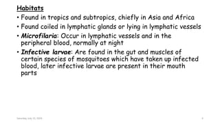 Habitats
• Found in tropics and subtropics, chiefly in Asia and Africa
• Found coiled in lymphatic glands or lying in lymphatic vessels
• Microfilaria: Occur in lymphatic vessels and in the
peripheral blood, normally at night
• Infective larvae: Are found in the gut and muscles of
certain species of mosquitoes which have taken up infected
blood, later infective larvae are present in their mouth
parts
Saturday, July 13, 2024 4
 