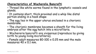 Characteristics of Wucherelia Bancrofti
• Thread like white worms found in the lymphatic vessels and
glands.
• It contains short, thick proximal and a whip like distal
portion ending in a hook shape
• The egg lies in the upper uterus enclosed in a chorionic
membrane.
• The chorionic membrane becomes a sheath for the living
embryos after the egg hatch into a microfilaria.
• Wuchereria bancrofti are viviparous (reproduce by giving
birth to young living microfilaria).
• Female adult measures 80-100 x 0.25 mm and the male
measures 40 x 0.1 mm.
Saturday, July 13, 2024 5
 