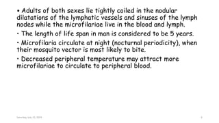 • Adults of both sexes lie tightly coiled in the nodular
dilatations of the lymphatic vessels and sinuses of the lymph
nodes while the microfilariae live in the blood and lymph.
• The length of life span in man is considered to be 5 years.
• Microfilaria circulate at night (nocturnal periodicity), when
their mosquito vector is most likely to bite.
• Decreased peripheral temperature may attract more
microfilariae to circulate to peripheral blood.
Saturday, July 13, 2024 6
 