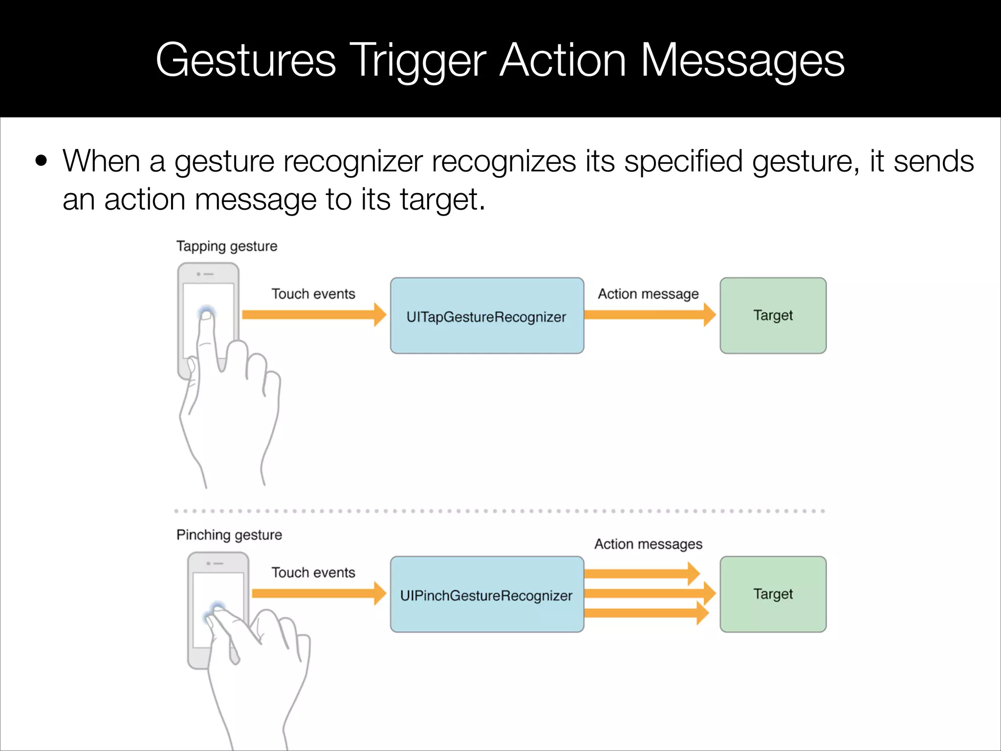 • When a gesture recognizer recognizes its speciﬁed gesture, it sends
an action message to its target.
Gestures Trigger Action Messages
 