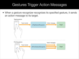 • When a gesture recognizer recognizes its speciﬁed gesture, it sends
an action message to its target.
Gestures Trigger Action Messages
 