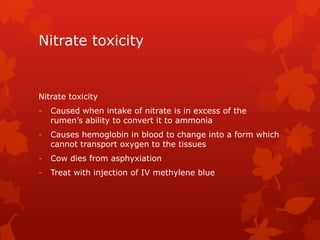 Nitrate Rumen Session 12 cattle_nutrition | PPTX