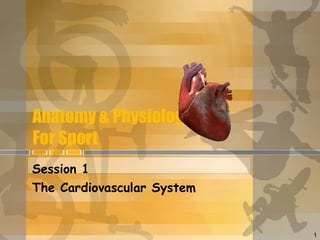 Anatomy & Physiology For Sport Session 1 The Cardiovascular System 