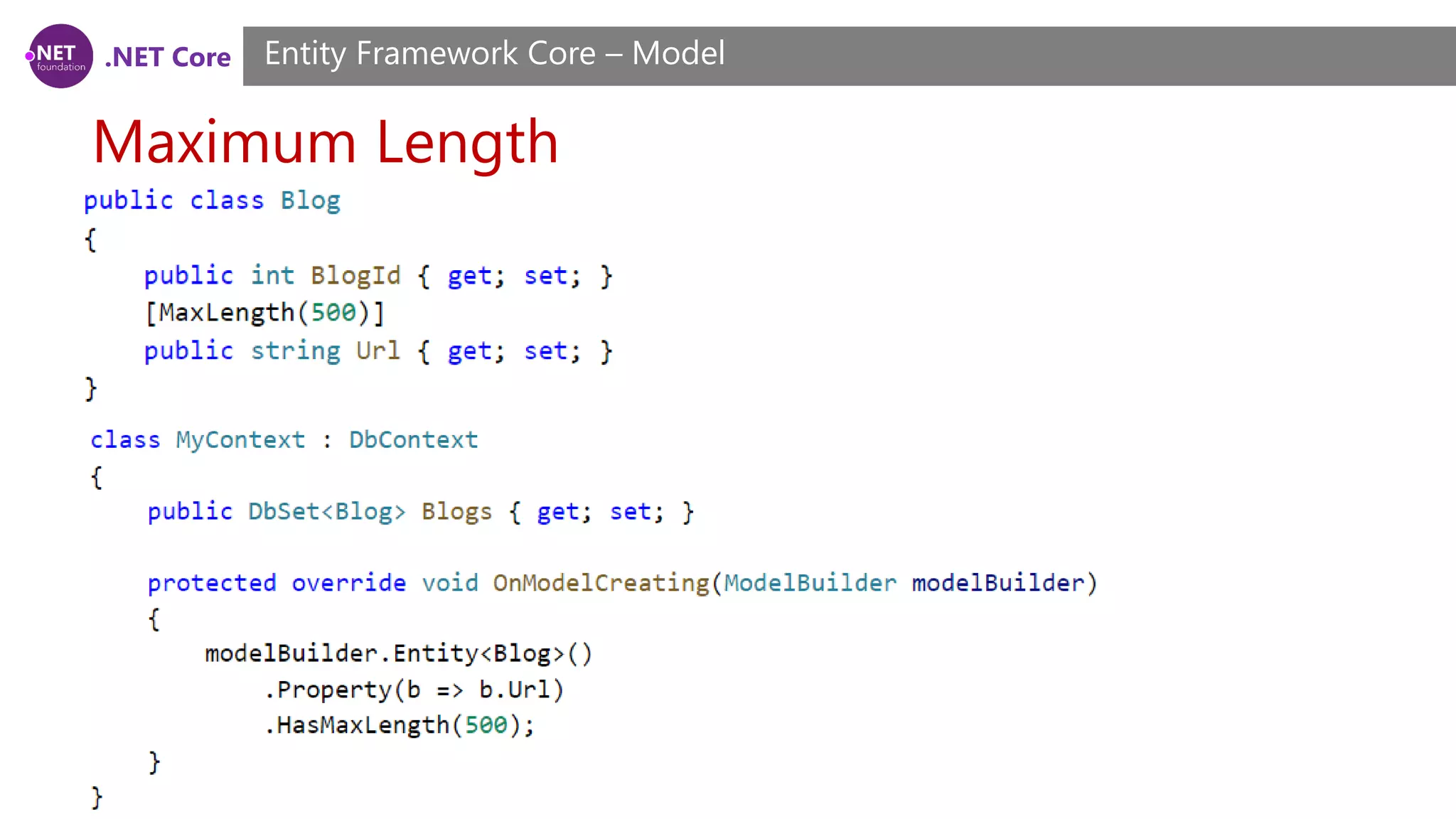 .NET Core Maximum Length Entity Framework Core – Model 