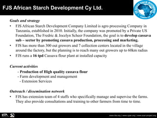 FJS African Starch Development Cy Ltd.
www.iita.org | www.cgiar.org | www.acai-project.org
Goals and strategy
• FJS African Starch Development Company Limited is agro processing Company in
Tanzania, established in 2010. Initially, the company was promoted by a Private US
Foundation, The Fredric & Jocelyn Scheer Foundation, the goal is to develop cassava
sub – sector by promoting cassava production, processing and marketing.
• FJS has more than 300 out growers and 7 collection centers located in the village
around the factory, but the planning is to reach many out growers up to 60km radius
• FJS runs a 16 tpd Cassava flour plant at installed capacity
Current activities
- Production of High quality cassava flour
- Farm development and management
- Extension Services
Outreach / dissemination network
• FJS has extension team of 4 staffs who specifically manage and supervise the farms.
They also provide consultations and training to other farmers from time to time.
 