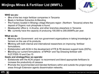 Minjingu Mines & Fertilizer Ltd (MMFL).
www.iita.org | www.cgiar.org | www.acai-project.org
WHO we are:
• One of the two major fertilizer companies in Tanzania
• Deals in fertilizer Extraction & Blending
• The Factory located in Minjingu village-Manyara region (Northern Tanzania) where the
deposit of Organic rock phosphate is found.
• Headquarter office is in Arusha, and other branches elsewhere in Tanzania
• We currently have the capacity of producing 100,000 to 200,000MTs per year.
What we do:
• Working with Government and non government organizations in taking knowledge to
farmers on the use of its products.
• Working with both internal and international researchers on improving fertiliser
formulations.
• Collaboration with ACAI in the development of FR & FB decision support tools (DSTs).
• Blending our current formulations of NPKS+ and Top Dressing fertiliser with
N:27,P205:10 and Cao:15
Goals and strategy/How we operate:
• Collaborate with the ACAI project to recommend and blend appropriate fertilizers to
increase the productivity of cassava
• Promote the recommended and blended fertilizers within and outside the project target
areas through Extension agents dissemination networks.
 