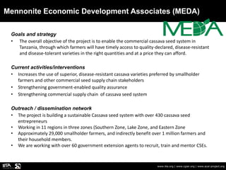 Mennonite Economic Development Associates (MEDA)
www.iita.org | www.cgiar.org | www.acai-project.org
Goals and strategy
• The overall objective of the project is to enable the commercial cassava seed system in
Tanzania, through which farmers will have timely access to quality-declared, disease-resistant
and disease-tolerant varieties in the right quantities and at a price they can afford.
Current activities/interventions
• Increases the use of superior, disease-resistant cassava varieties preferred by smallholder
farmers and other commercial seed supply chain stakeholders
• Strengthening government-enabled quality assurance
• Strengthening commercial supply chain of cassava seed system
Outreach / dissemination network
• The project is building a sustainable Cassava seed system with over 430 cassava seed
entrepreneurs
• Working in 11 regions in three zones (Southern Zone, Lake Zone, and Eastern Zone
• Approximately 29,000 smallholder farmers, and indirectly benefit over 1 million farmers and
their household members.
• We are working with over 60 government extension agents to recruit, train and mentor CSEs.
 