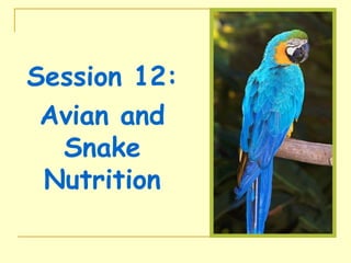 Session 12:
Avian and
Snake
Nutrition
 