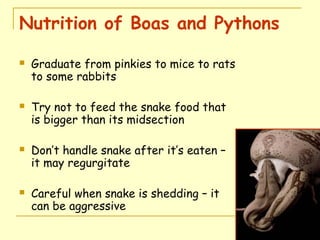 Session 13 avian_and_snake_nutrition | PPT