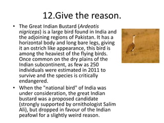 12.Give the reason.
• The Great Indian Bustard (Ardeotis
nigriceps) is a large bird found in India and
the adjoining regions of Pakistan. It has a
horizontal body and long bare legs, giving
it an ostrich like appearance, this bird is
among the heaviest of the flying birds.
Once common on the dry plains of the
Indian subcontinent, as few as 250
individuals were estimated in 2011 to
survive and the species is critically
endangered.
• When the "national bird" of India was
under consideration, the great Indian
bustard was a proposed candidate
(strongly supported by ornithologist Salim
Ali), but dropped in favour of the Indian
peafowl for a slightly weird reason.
 