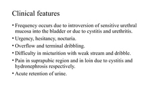 Clinical features
• Frequency occurs due to introversion of sensitive urethral
mucosa into the bladder or due to cystitis and urethritis.
• Urgency, hesitancy, nocturia.
• Overflow and terminal dribbling.
• Difficulty in micturition with weak stream and dribble.
• Pain in suprapubic region and in loin due to cystitis and
hydronephrosis respectively.
• Acute retention of urine.
 