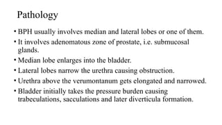 Pathology
• BPH usually involves median and lateral lobes or one of them.
• It involves adenomatous zone of prostate, i.e. submucosal
glands.
• Median lobe enlarges into the bladder.
• Lateral lobes narrow the urethra causing obstruction.
• Urethra above the verumontanum gets elongated and narrowed.
• Bladder initially takes the pressure burden causing
trabeculations, sacculations and later diverticula formation.
 