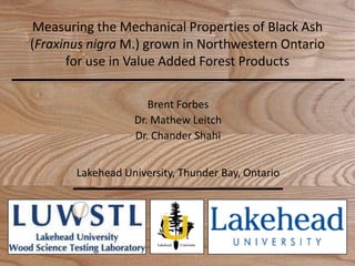 Measuring the Mechanical Properties of Black Ash
(Fraxinus nigra M.) grown in Northwestern Ontario
      for use in Value Added Forest Products

                     Brent Forbes
                  Dr. Mathew Leitch
                  Dr. Chander Shahi


       Lakehead University, Thunder Bay, Ontario
 