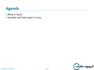 Page 2Classification: Restricted
Agenda
• What is Java?
• Variable and Data types in Java
 