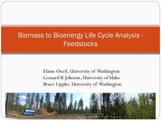 Biomass to Bioenergy Life Cycle Analysis -
              Feedstocks


        Elaine Oneil, University of Washington
        Leonard R Johnson, University of Idaho
        Bruce Lippke, University of Washington
                                                 CORRIM
 