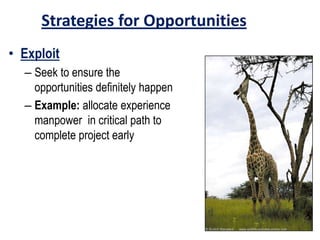 Strategies for Opportunities
• Exploit
– Seek to ensure the
opportunities definitely happen
– Example: allocate experience
manpower in critical path to
complete project early
 
