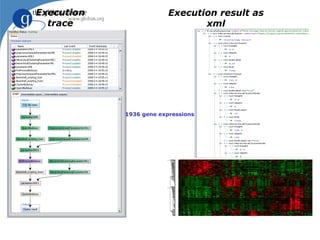 Execution                Execution result as
  trace                         xml




            1936 gene expressions
 