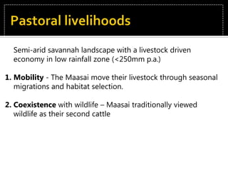 Pastoral livelihoods - Diversification
