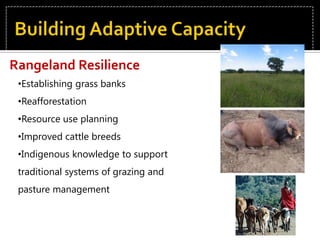 Vulnerability of RangelandsEnvironmental DriversThe modern challenges of:SedenterizationFragmented landscapes Reduced mobility Grazing pressure.  LanduseClimate ChangeLand Use Climate Change Human Population