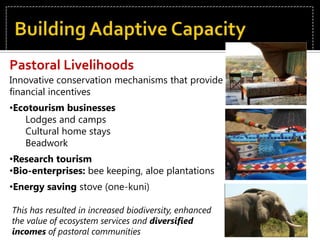 Building Adaptive Capacity Rangeland ResiliencePastoral LivelihoodsLocal Institutions