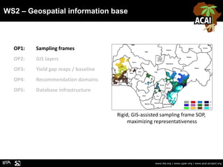 WS2 – Geospatial information base
www.iita.org | www.cgiar.org | www.acai-project.org
OP1: Sampling frames
OP2: GIS layers...