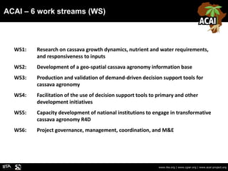 ACAI – 6 work streams (WS)
www.iita.org | www.cgiar.org | www.acai-project.org
WS1: Research on cassava growth dynamics, n...