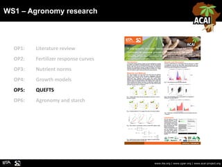 WS1 – Agronomy research
www.iita.org | www.cgiar.org | www.acai-project.org
OP1: Literature review
OP2: Fertilizer respons...
