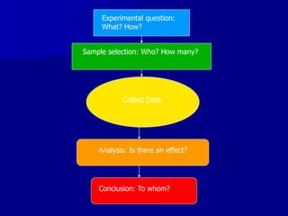 Experimental question:
What? How?
Sample selection: Who? How many?
Collect Data
Analysis: Is there an effect?
Conclusion: To whom?
 