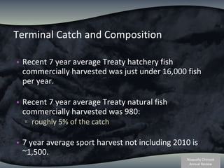 Terminal Catch and Composition  Recent 7 year average Treaty hatchery fish commercially harvested was just under 16,000 fish per year. Recent 7 year average Treaty natural fish commercially harvested was 980:  roughly 5% of the catch  7 year average sport harvest not including 2010 is ~1,500.  