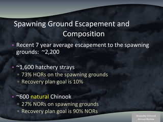 Spawning Ground Escapement and  Composition Recent 7 year average escapement to the spawning grounds:  ~2,200  ~1,600 hatchery strays 73% HORs on the spawning grounds Recovery plan goal is 10% ~600  natural  Chinook  27% NORs on spawning grounds Recovery plan goal is 90% NORs 