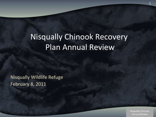 Nisqually Chinook Recovery  Plan Annual Review Nisqually Wildlife Refuge February 8, 2011 