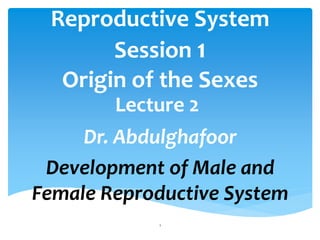 Reproductive System
Session 1
Origin of the Sexes
Lecture 2
Dr. Abdulghafoor
Development of Male and
Female Reproductive System
1
 