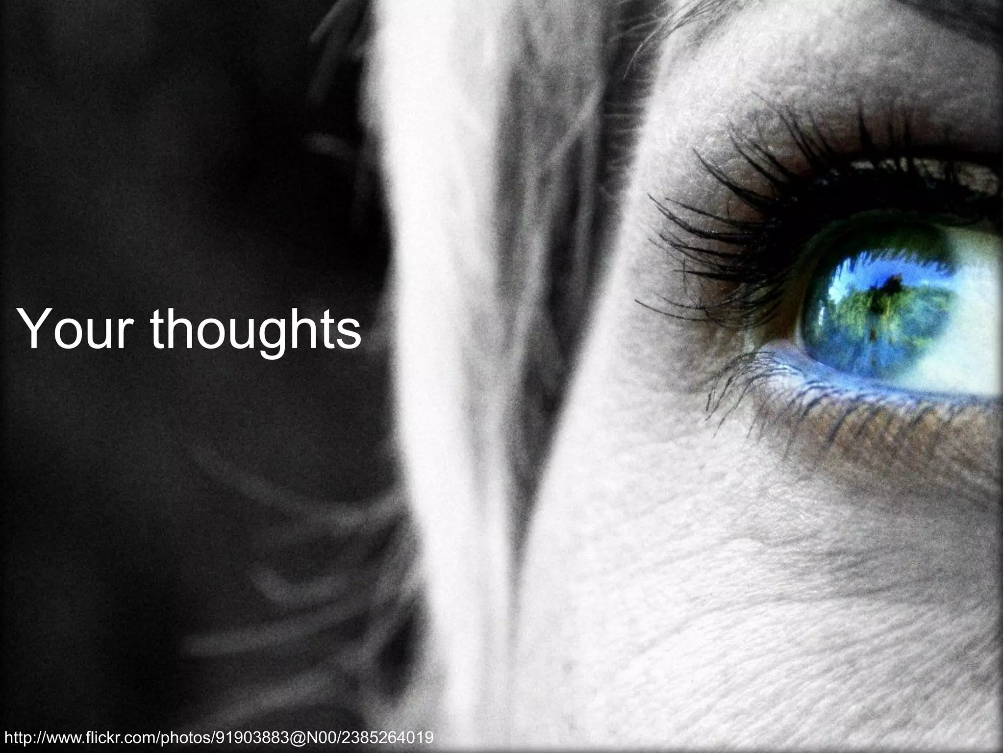 Your thoughts 
http://www.flickr.com/photos/91903883@N00/2385264019  