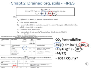 Peat emission factors: Navigating the IPCC wetland supplement