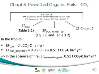 Peat emission factors: Navigating the IPCC wetland supplement