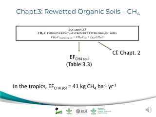 Peat emission factors: Navigating the IPCC wetland supplement