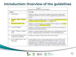 Peat emission factors: Navigating the IPCC wetland supplement