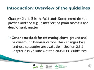 Peat emission factors: Navigating the IPCC wetland supplement