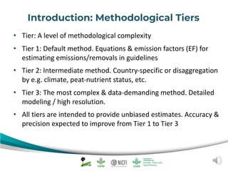 Peat emission factors: Navigating the IPCC wetland supplement